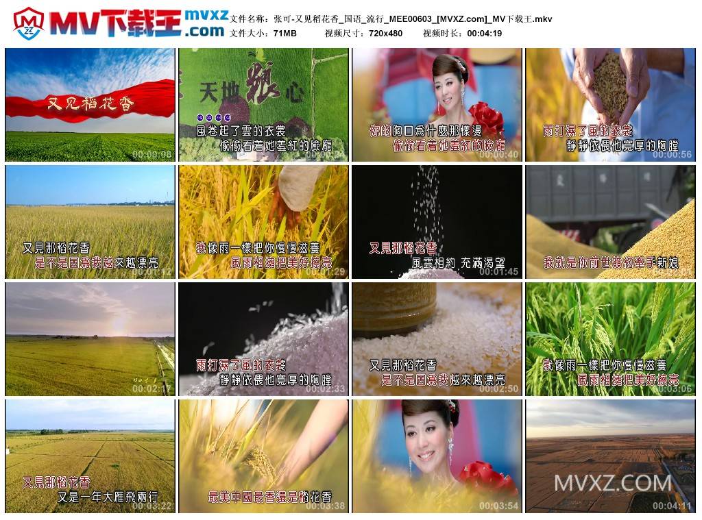 张可-又见稻花香_国语_流行_MEE00603